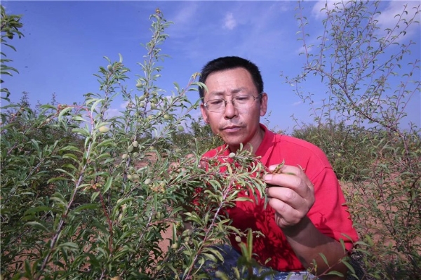 1658979895369820.jpg WechatIMG744.jpg